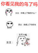 你看见我的小熊了么